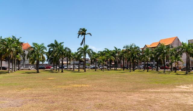 Place des Palmistes